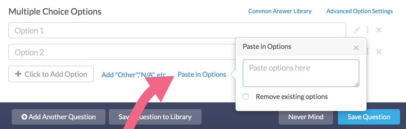 Paste in Options