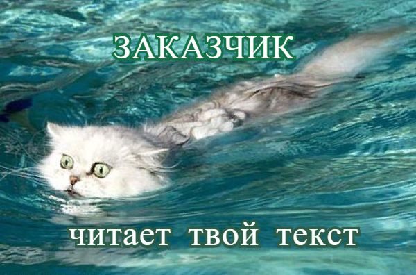 Кот в воде