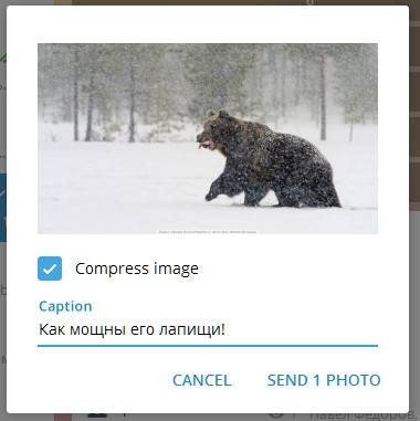Галочка «Compress image» отправляет картинку картинкой, а не файлом