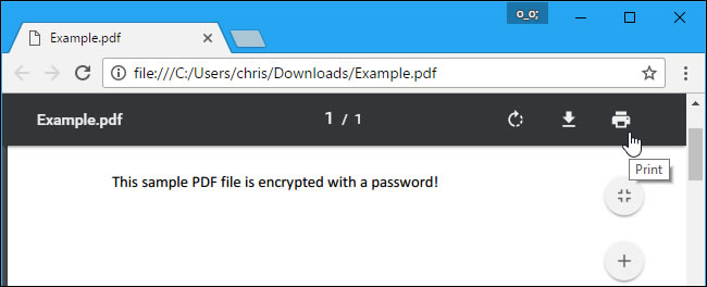 print pdf password