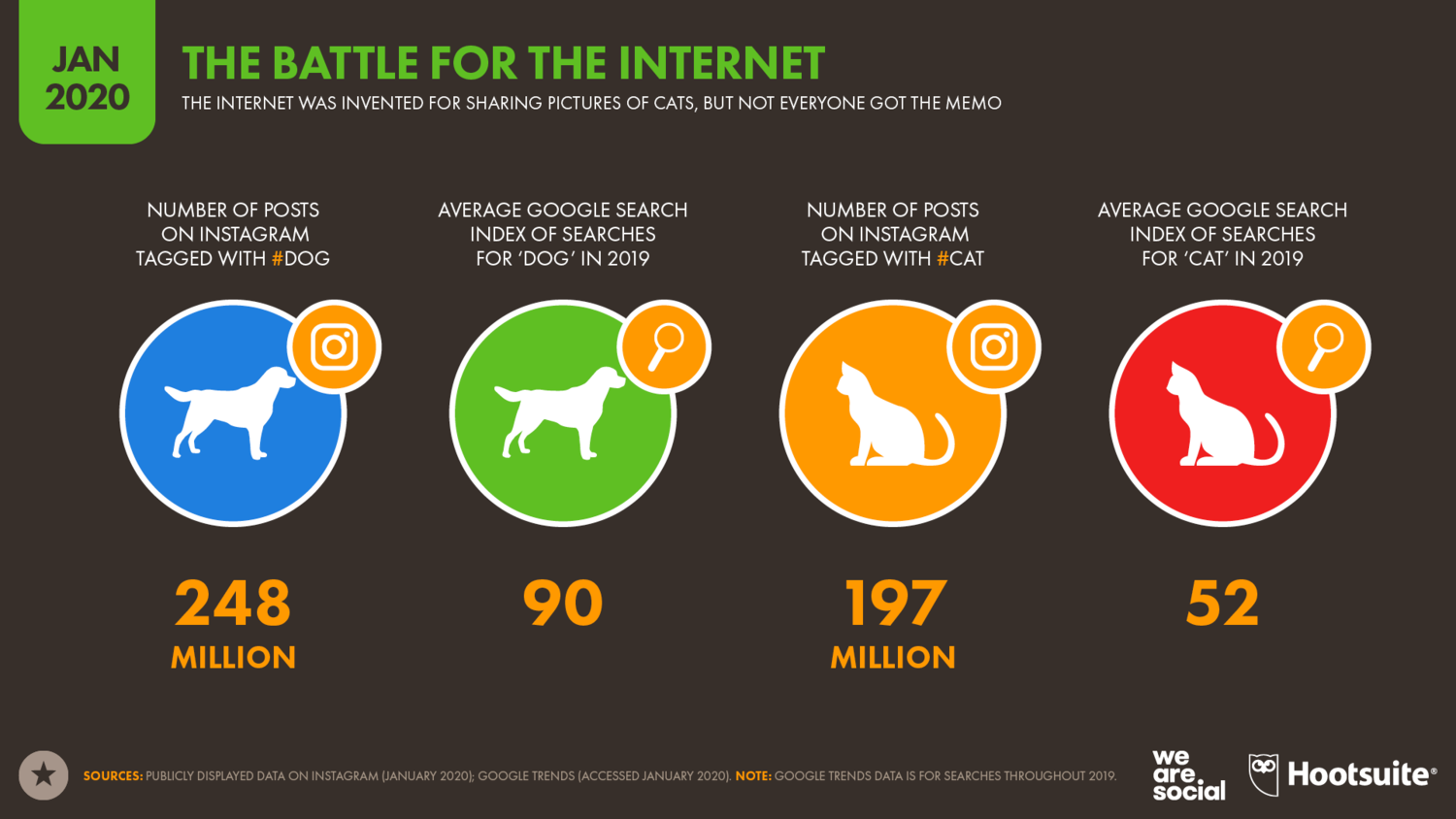 Популярность котиков и собачек в интернете - 2020 год